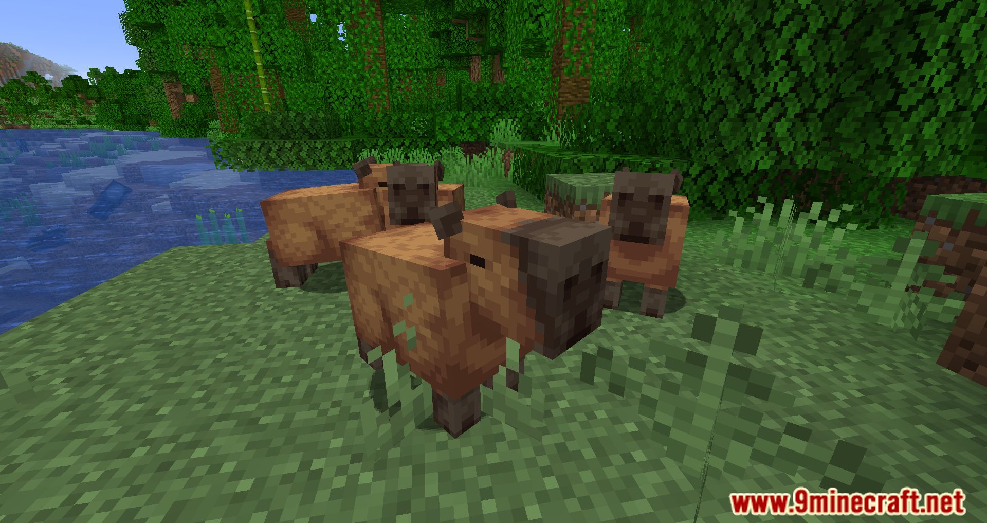 Capybara Mod: Enhance Your Minecraft Experience with Forge Capybara Mod: Enhance Your Minecraft Experience with Forge