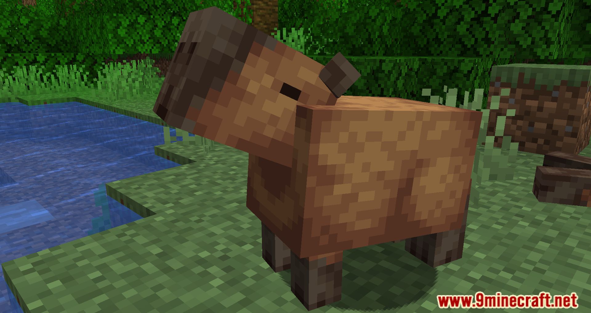 Capybara Mod: Enhance Your Minecraft Experience with Forge Capybara Mod: Enhance Your Minecraft Experience with Forge