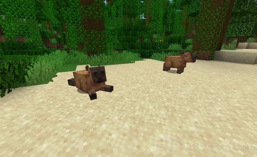 Capybara Mod: Enhance Your Minecraft Experience with Forge Capybara Mod: Enhance Your Minecraft Experience with Forge