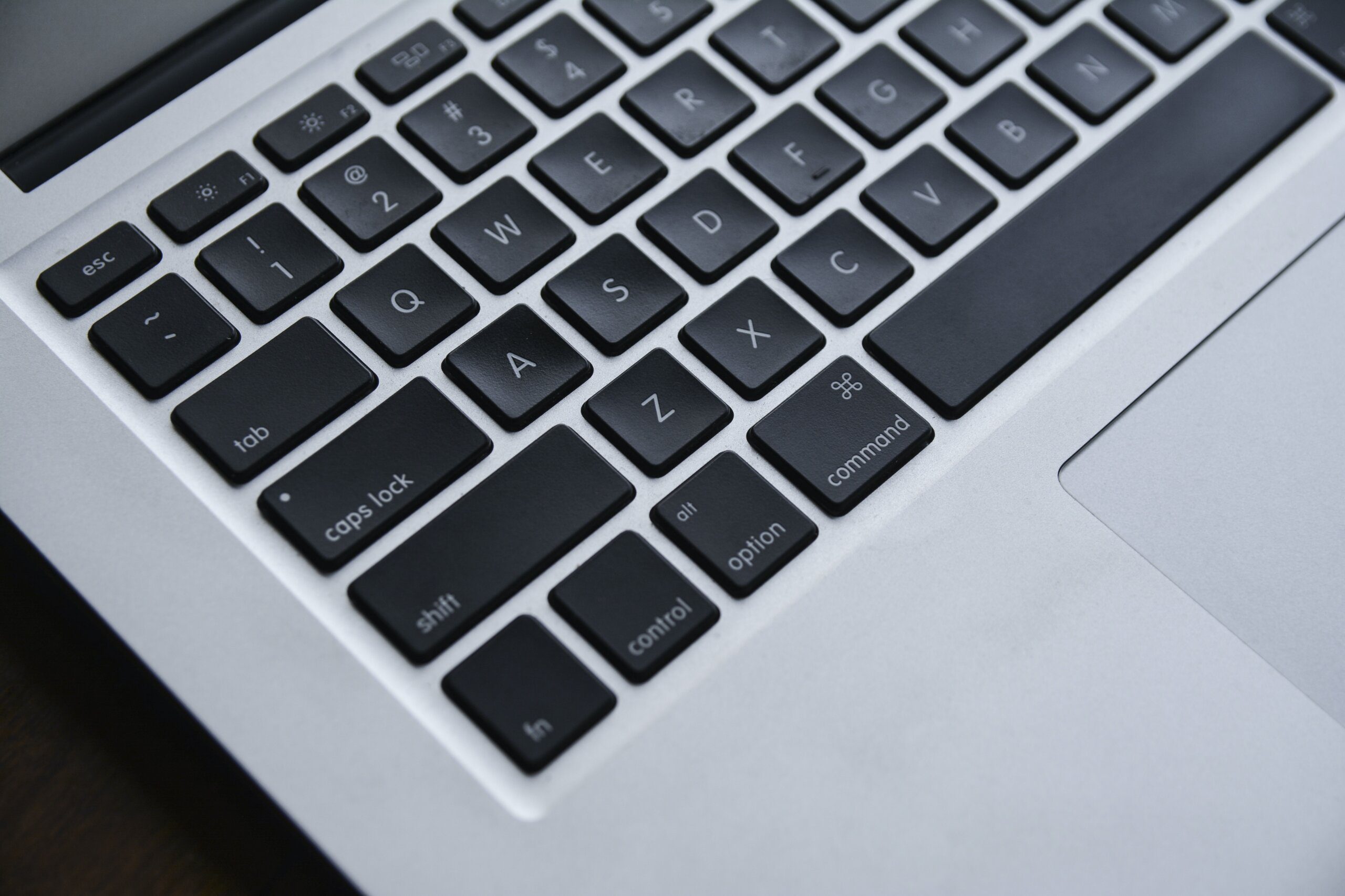 Top Destinations to Spot Capybaras Top Destinations to Spot Capybaras