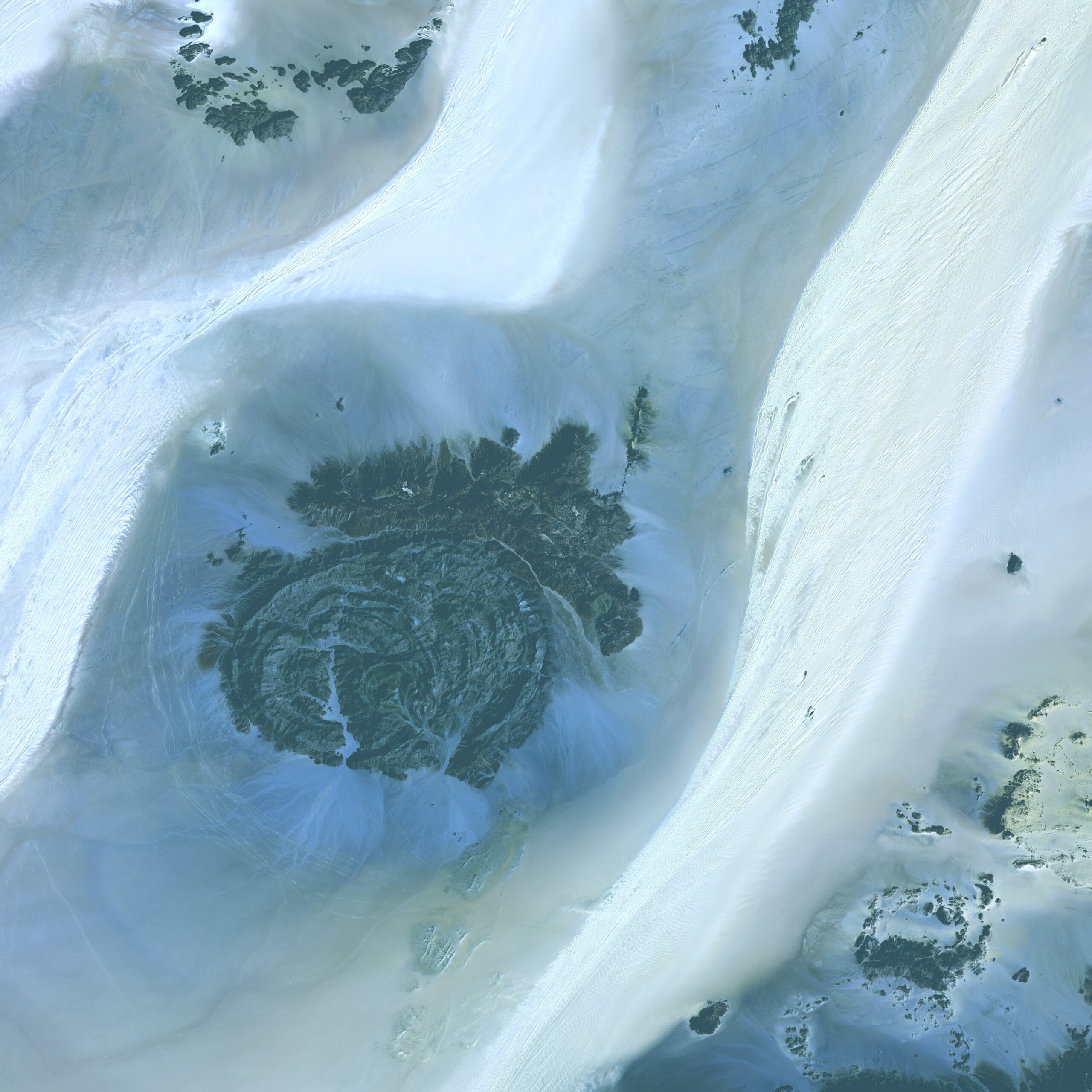 Capybara Vibing with Other Animals