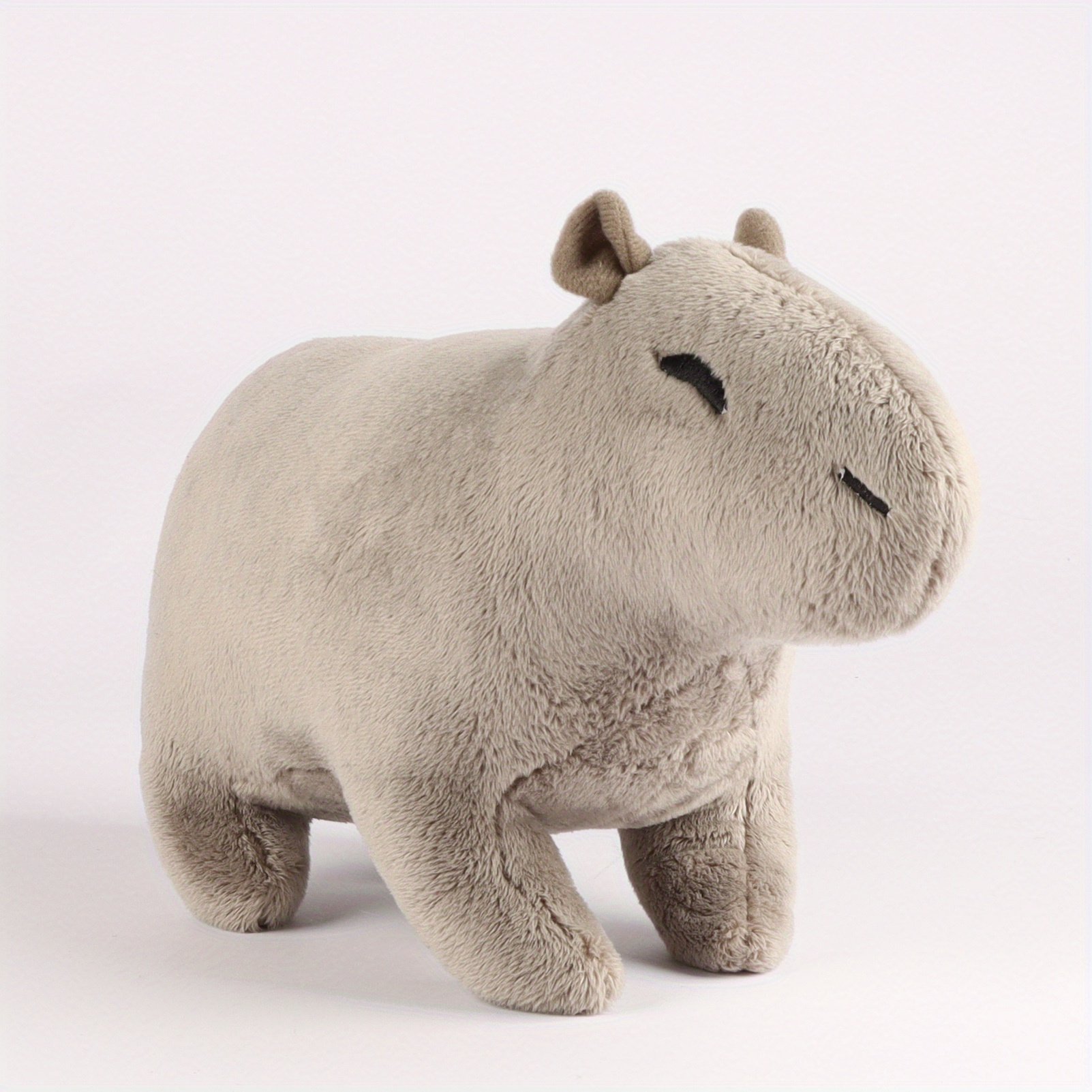 Meet the Adorable Capybara Teddy at Chester Zoo Meet the Adorable Capybara Teddy at Chester Zoo