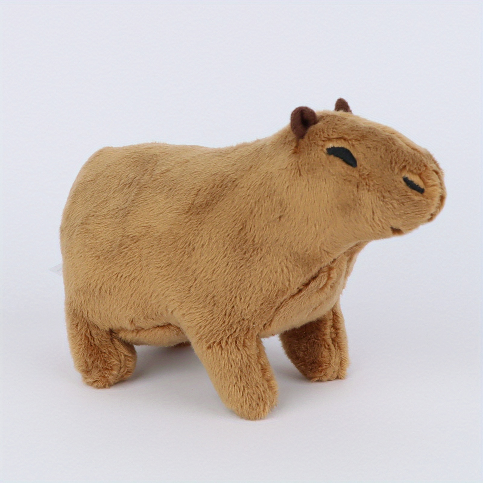 Meet the Adorable Capybara Teddy at Chester Zoo Meet the Adorable Capybara Teddy at Chester Zoo