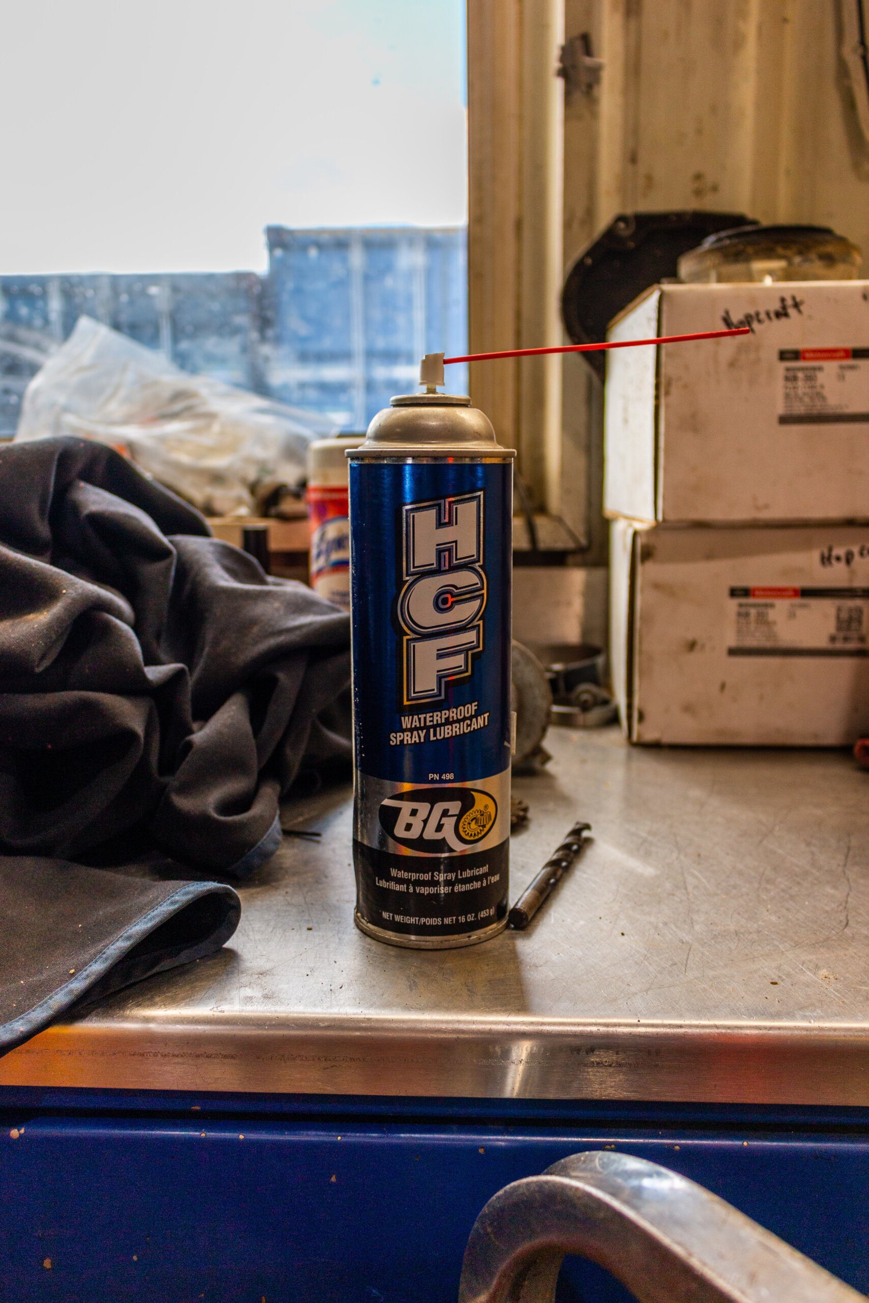 The Size Comparison between Capybara and Humans The Size Comparison between Capybara and Humans