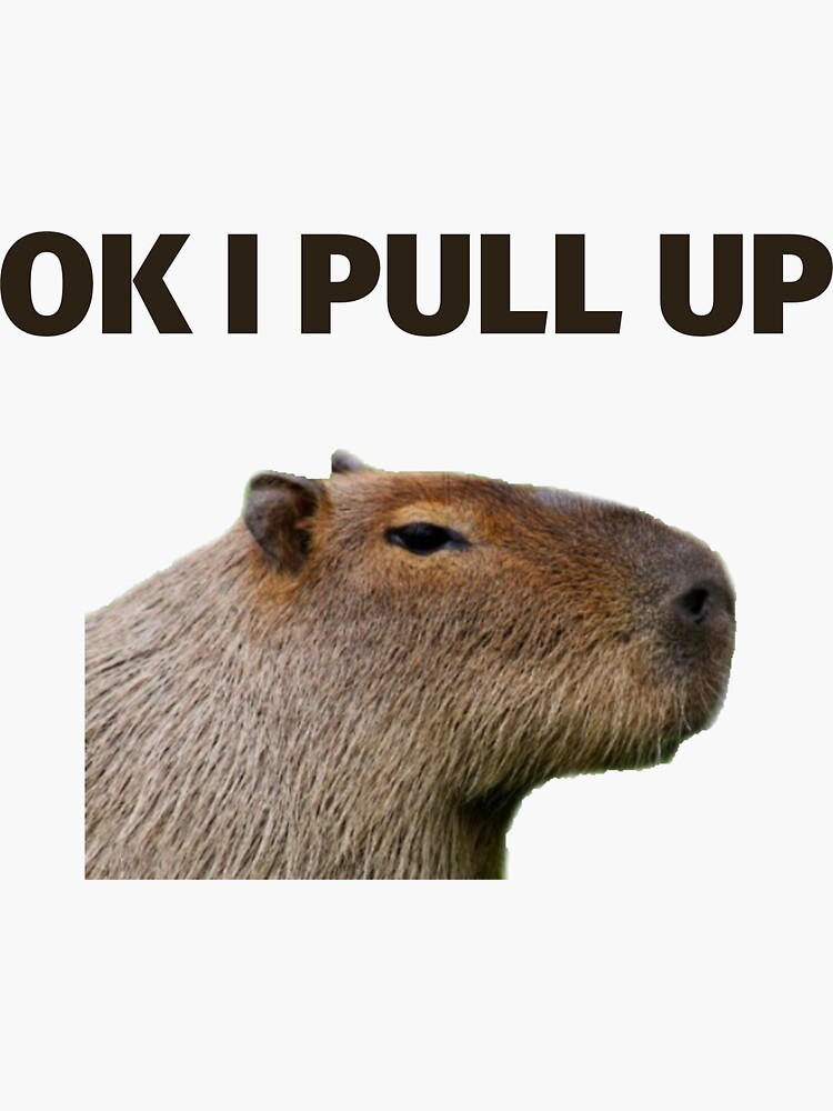 I Pull Up My Capybara I Pull Up My Capybara