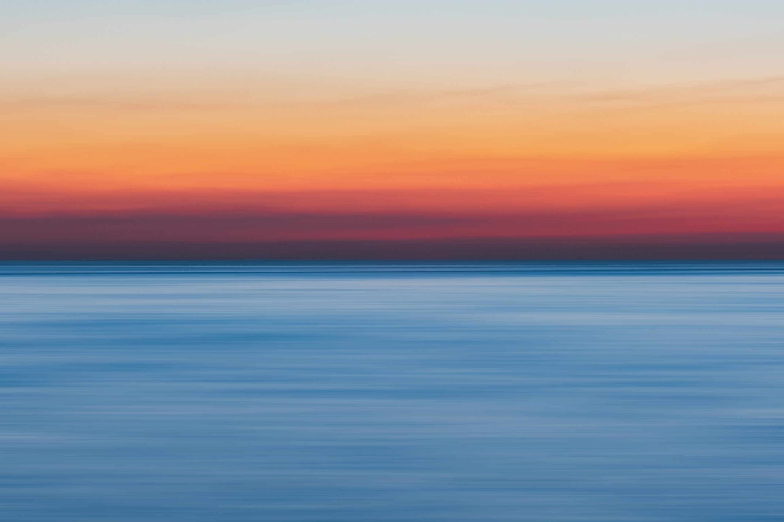 Capybara as a Pet: Is it Possible? Capybara as a Pet: Is it Possible?