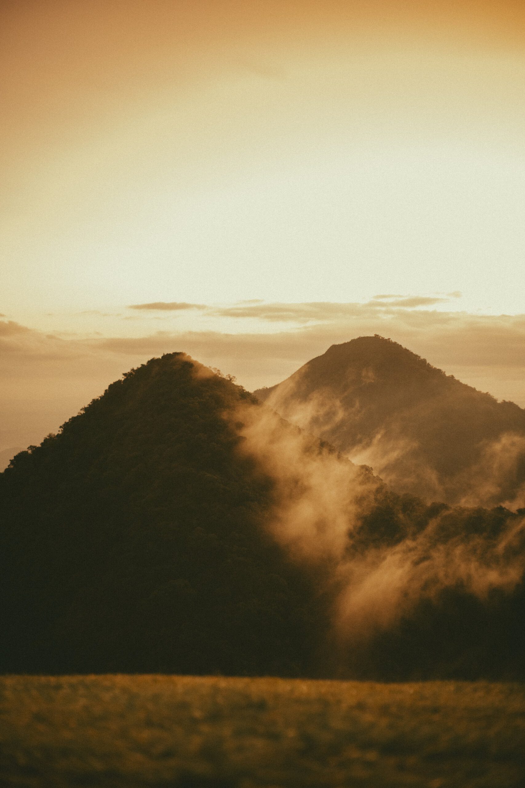 Where to Spot Capybaras in Their Natural Habitat Where to Spot Capybaras in Their Natural Habitat