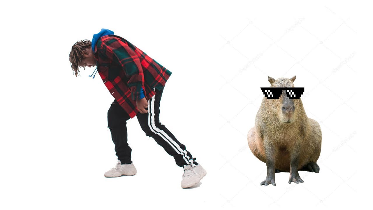 I Pull Up Capybara on a Leash I Pull Up Capybara on a Leash