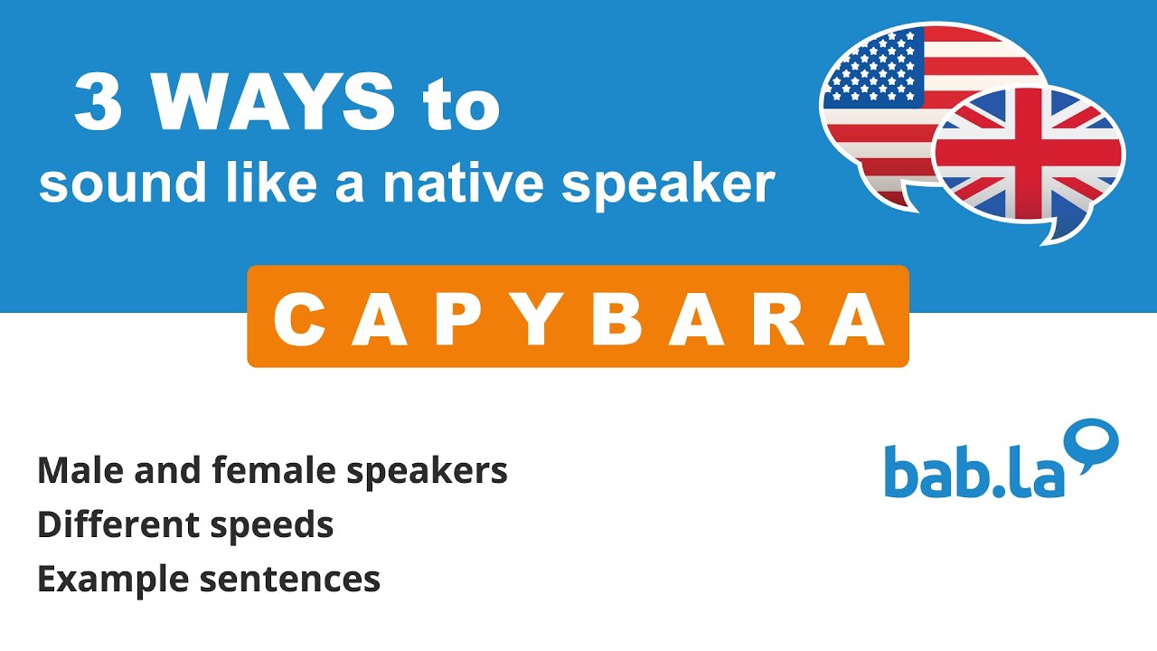 How to Say Capybara in German How to Say Capybara in German