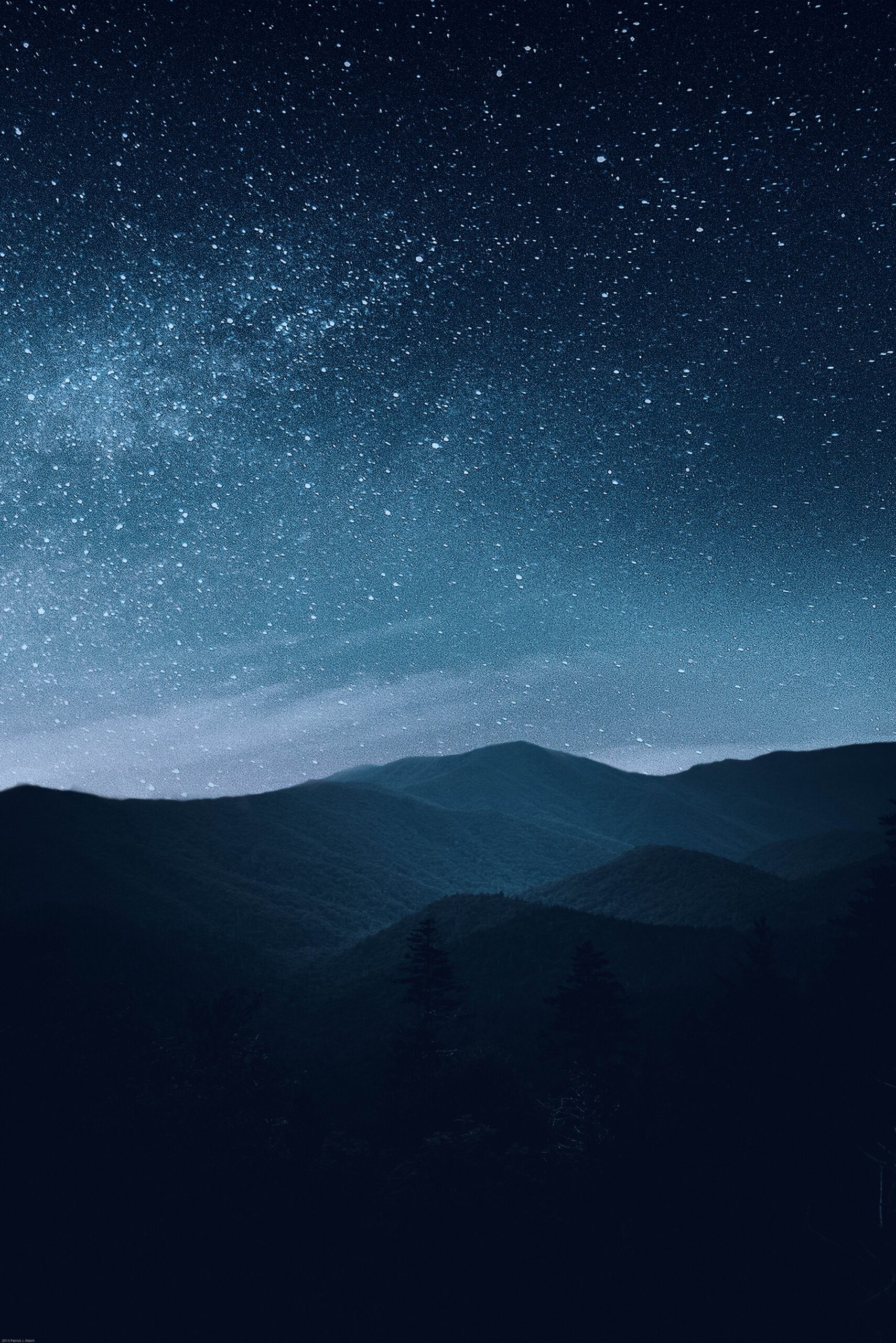 Exploring the Friendliness of Capybaras Exploring the Friendliness of Capybaras