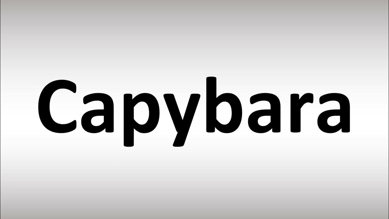 How to Say Capybara in English