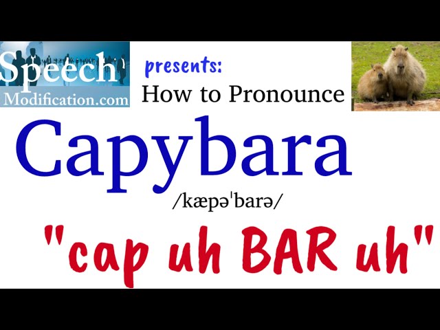How to Say Capybara in English
