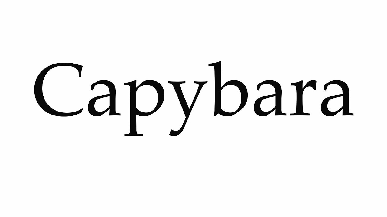 How to Say Capybara in English
