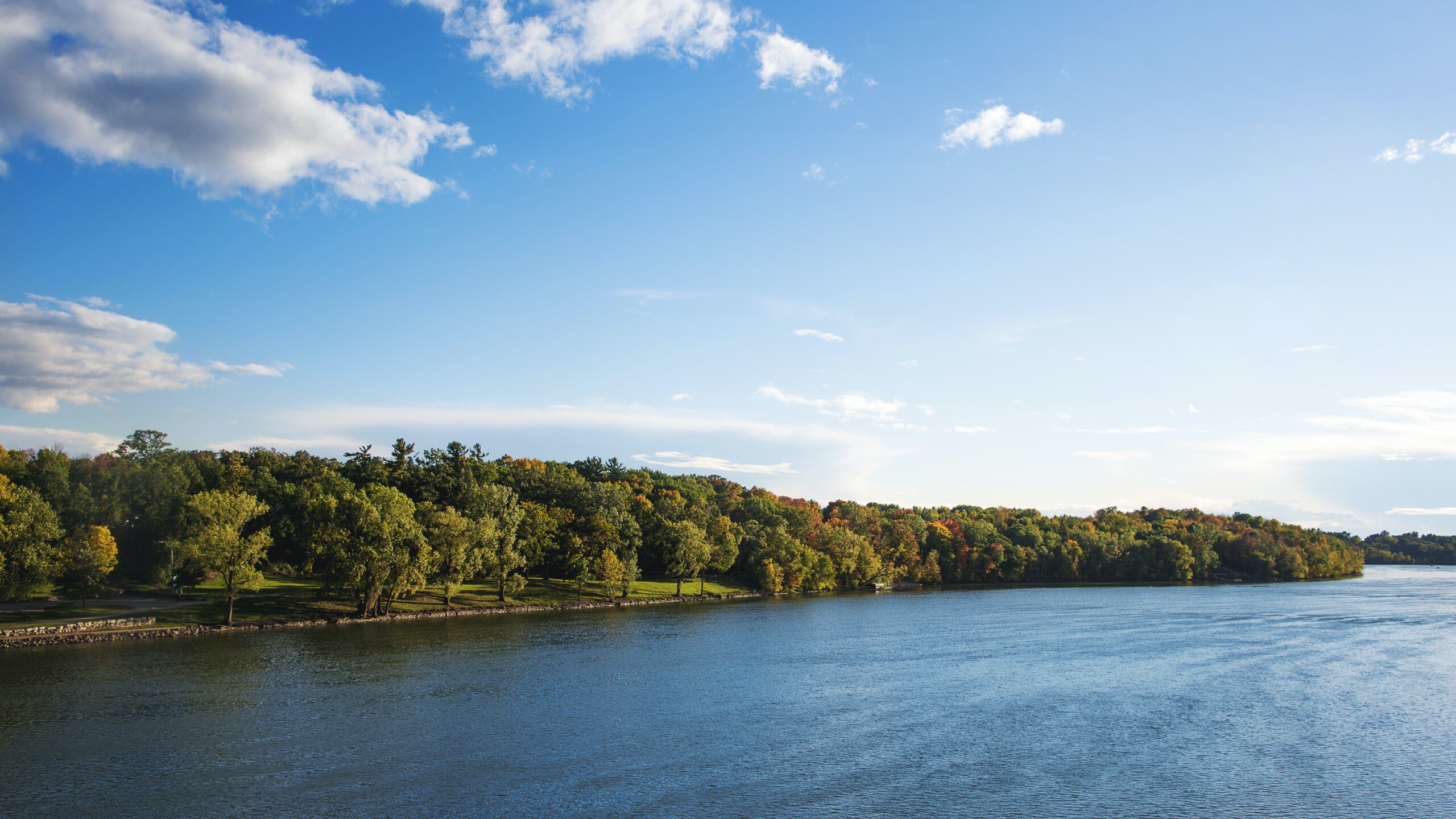 Why do capybaras live in groups? Why do capybaras live in groups?