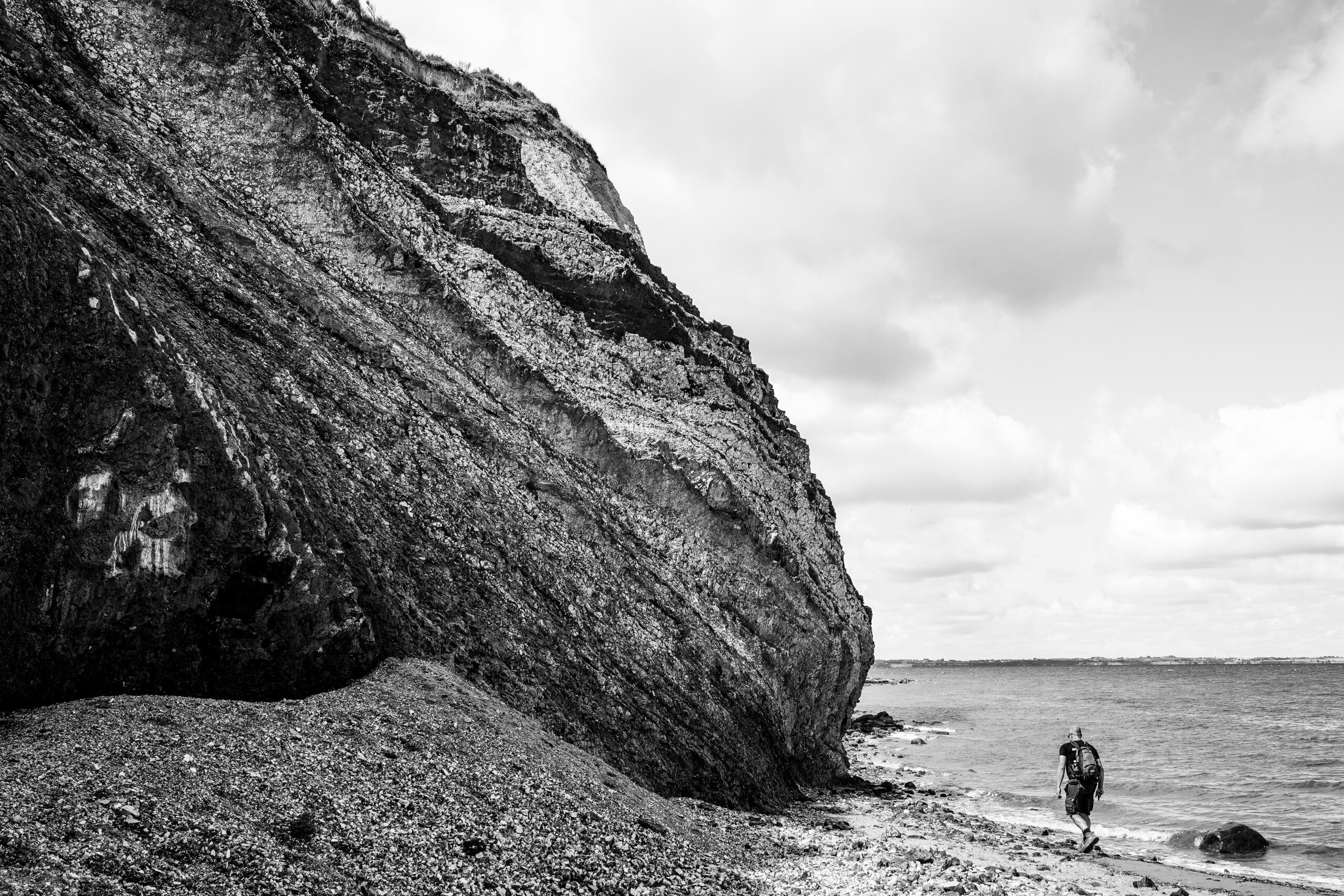 What is the Texture of Capybara Fur? What is the Texture of Capybara Fur?