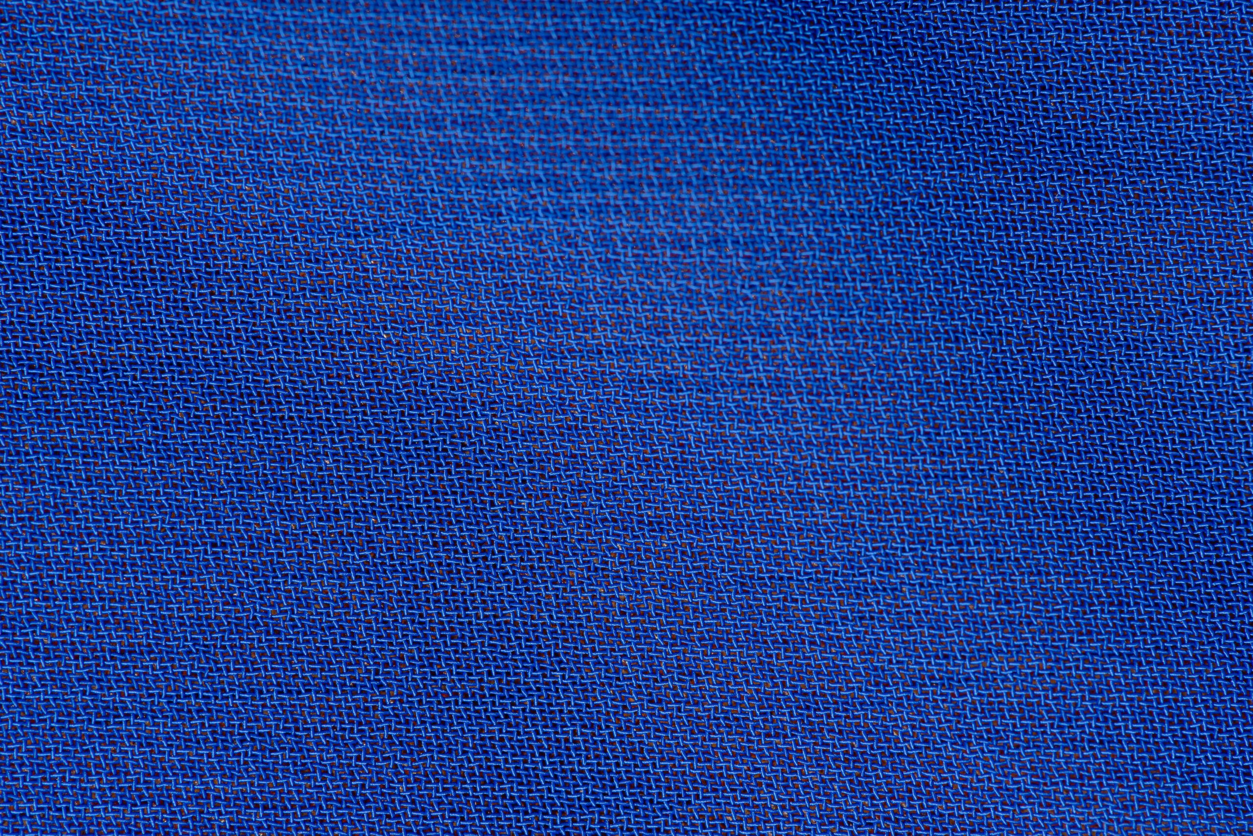 What Does Touching a Capybara Feel Like? What Does Touching a Capybara Feel Like?