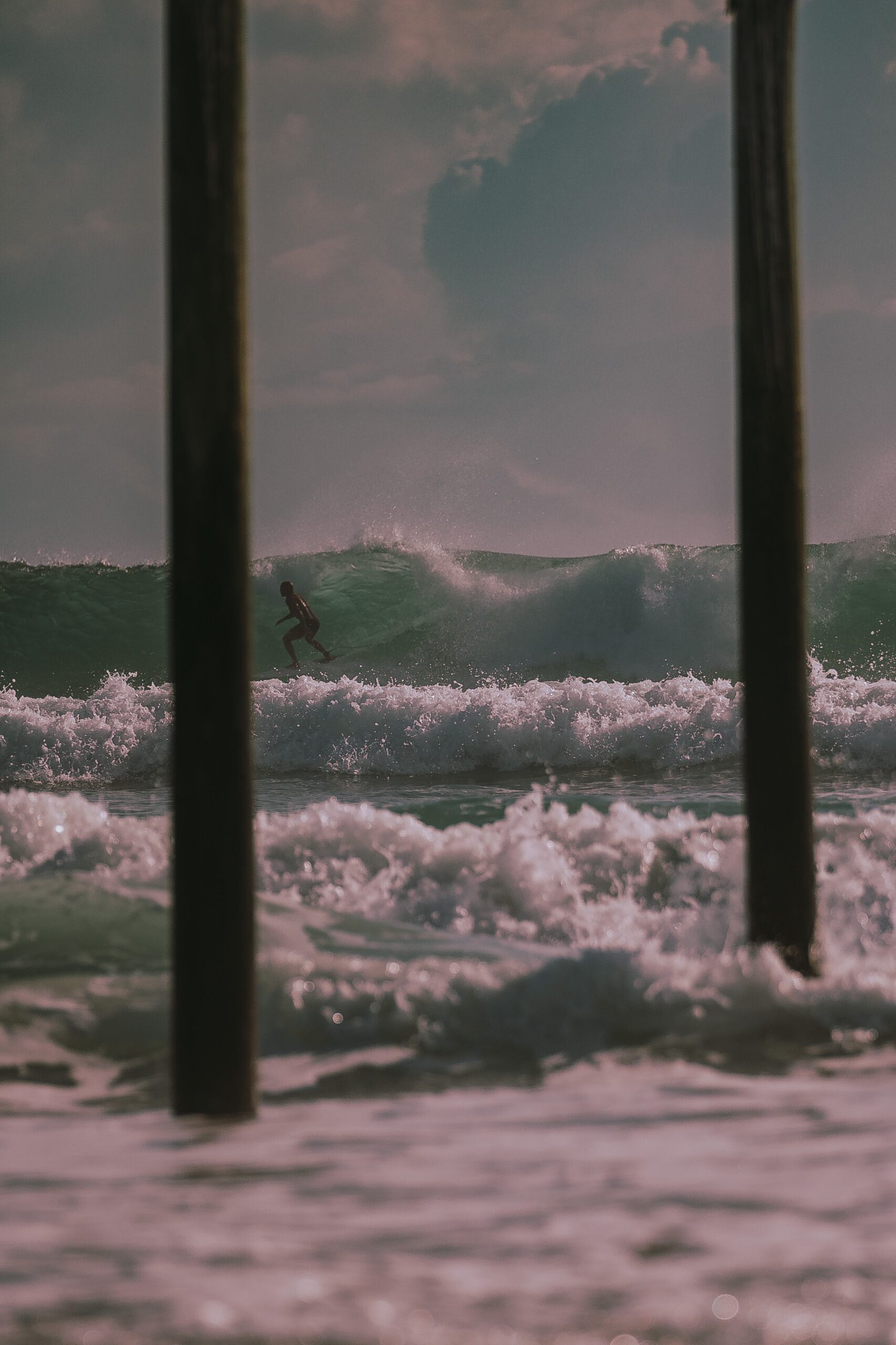 Uncovering the Secrets: Shadow of the Tomb Raiders Albino Capybara Uncovering the Secrets: Shadow of the Tomb Raiders Albino Capybara