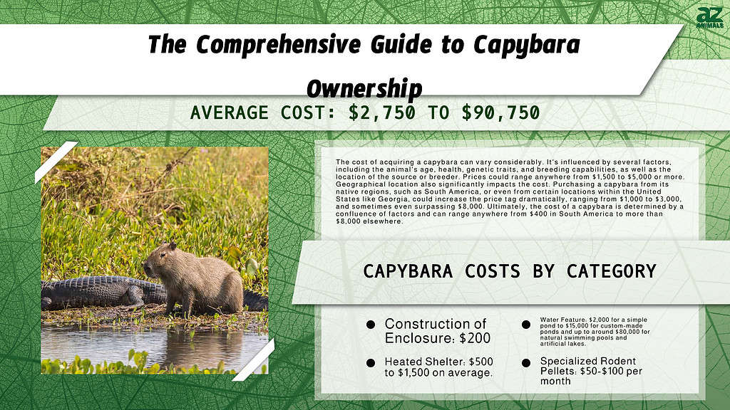 Understanding the Cost of a Capybara Understanding the Cost of a Capybara