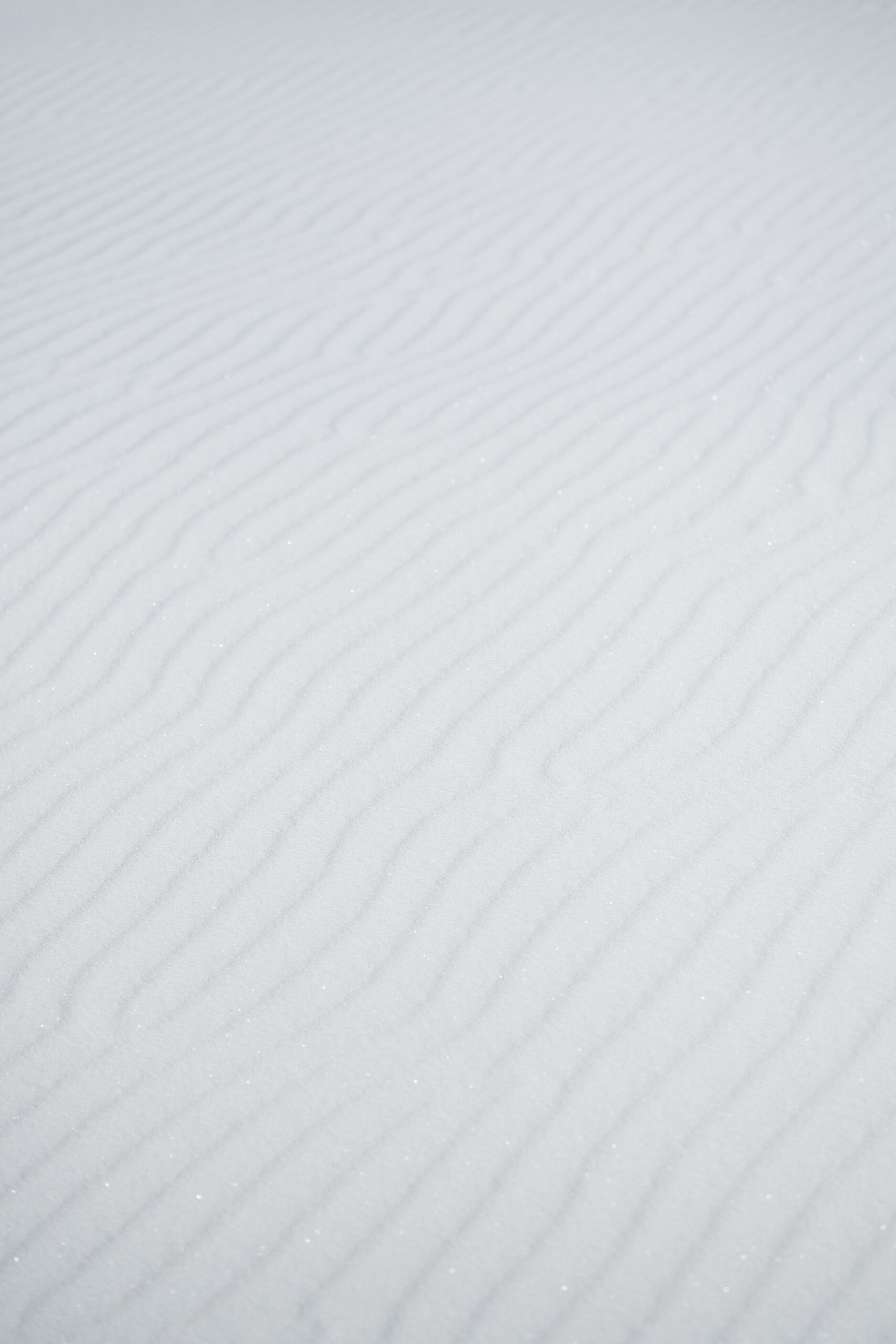 Top 10 Minecraft Texture Packs for Capybara Lovers