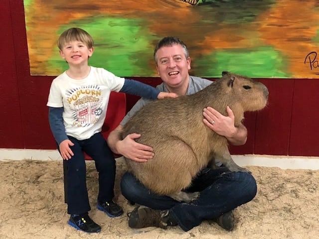 Capybara Petting Experience at a Nearby Location Capybara Petting Experience at a Nearby Location