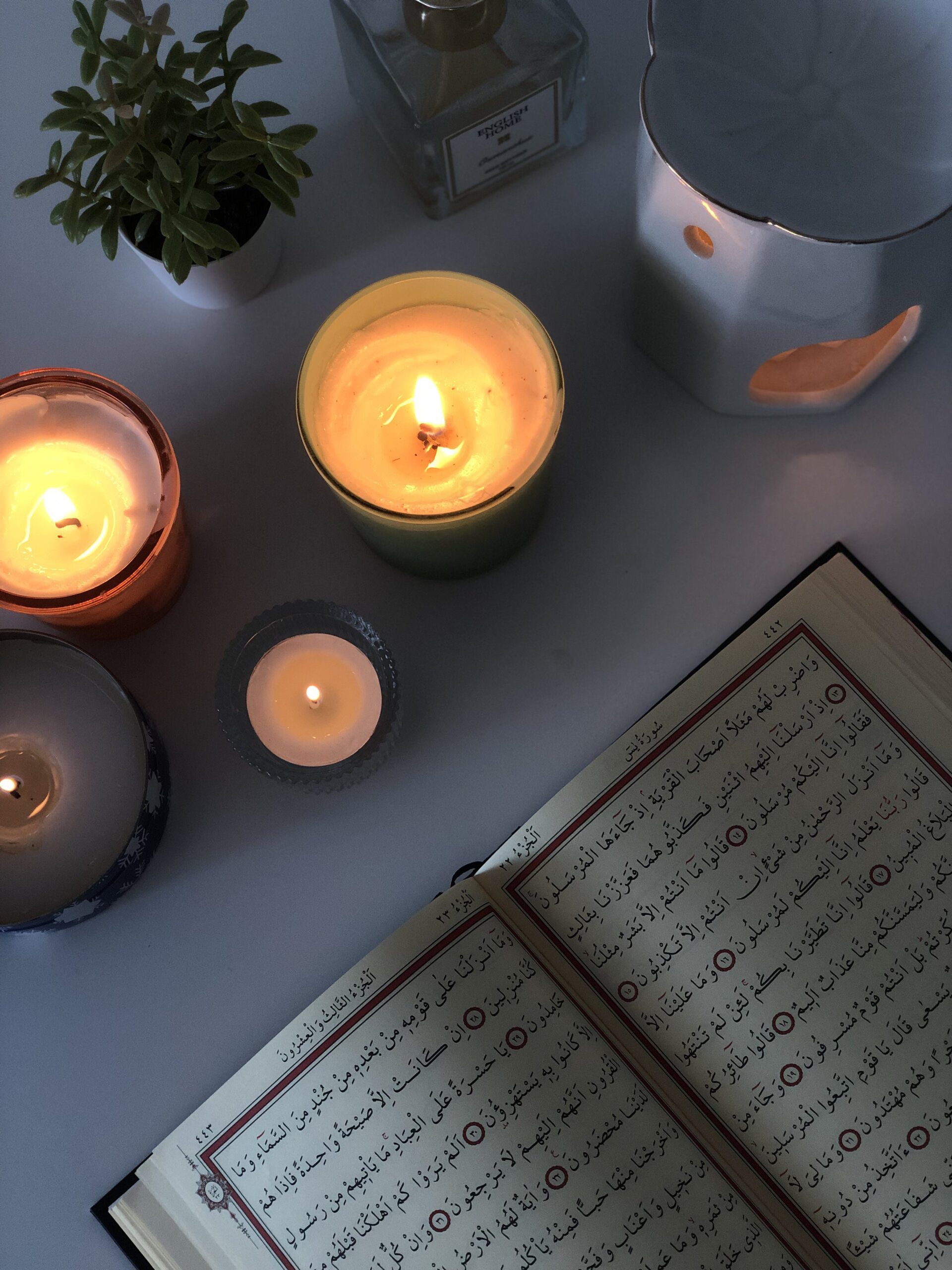 Exploring the Average Life Expectancy of Capybaras