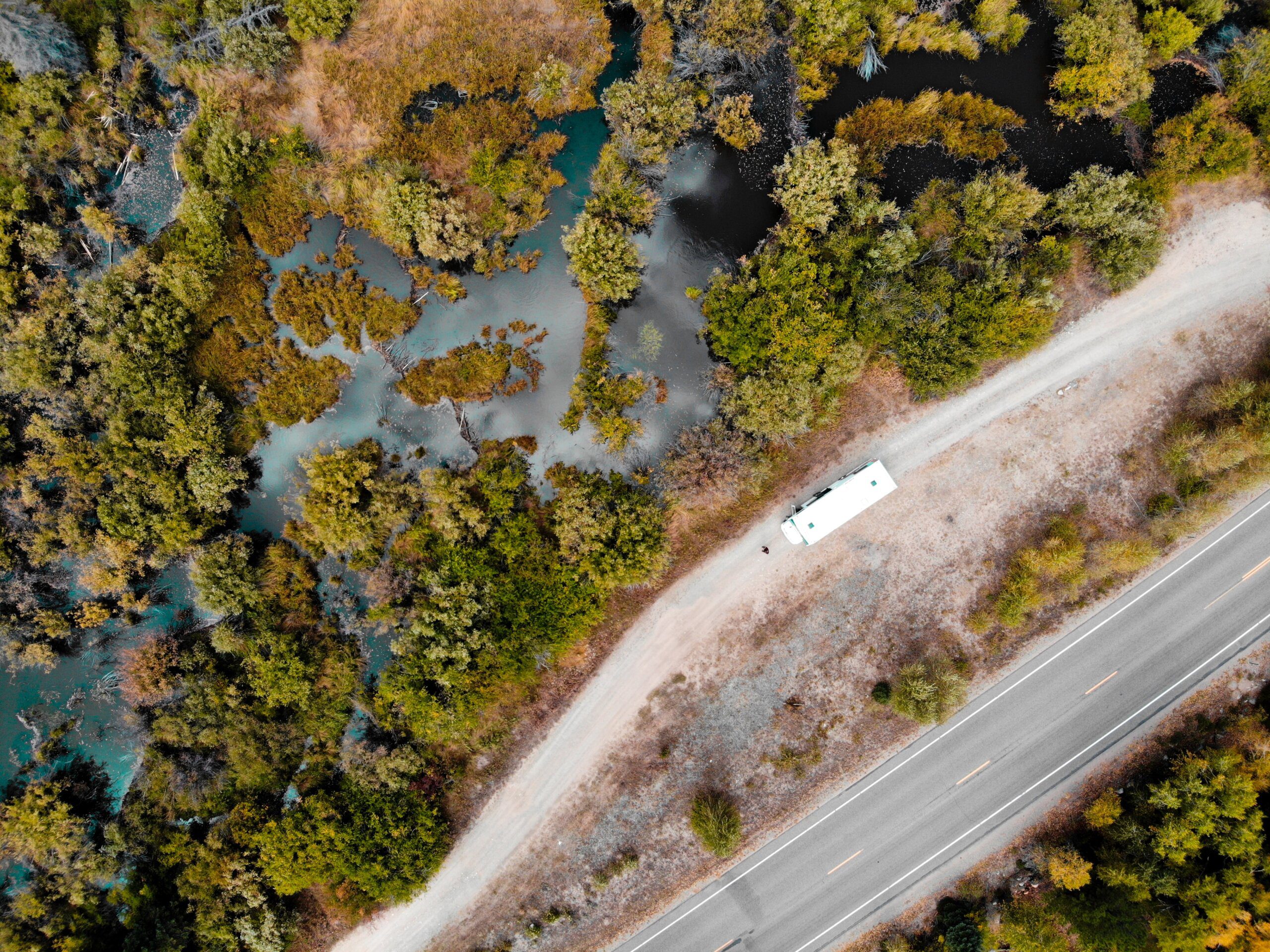 15 Fascinating Facts About the Capybara