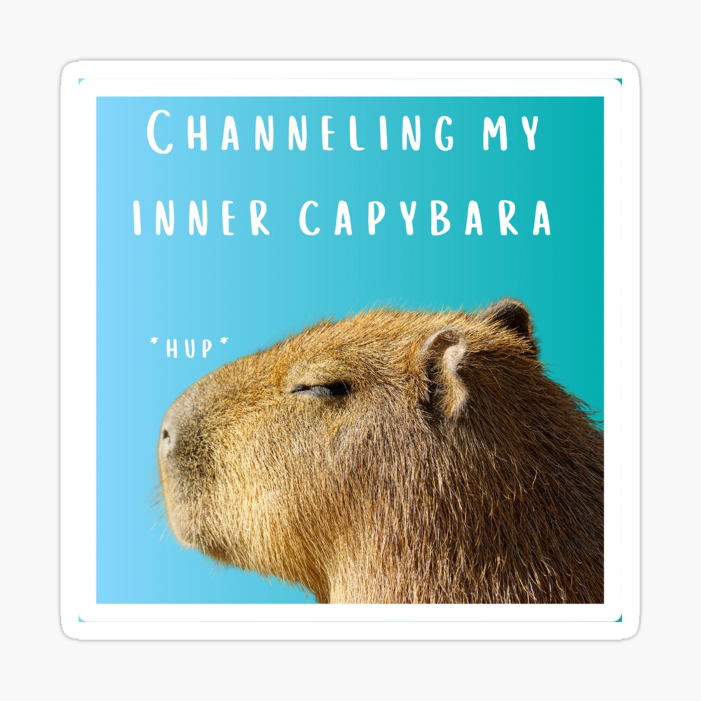 Discover Your Inner Capybara Discover Your Inner Capybara