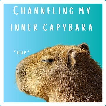 Discover Your Inner Capybara Discover Your Inner Capybara