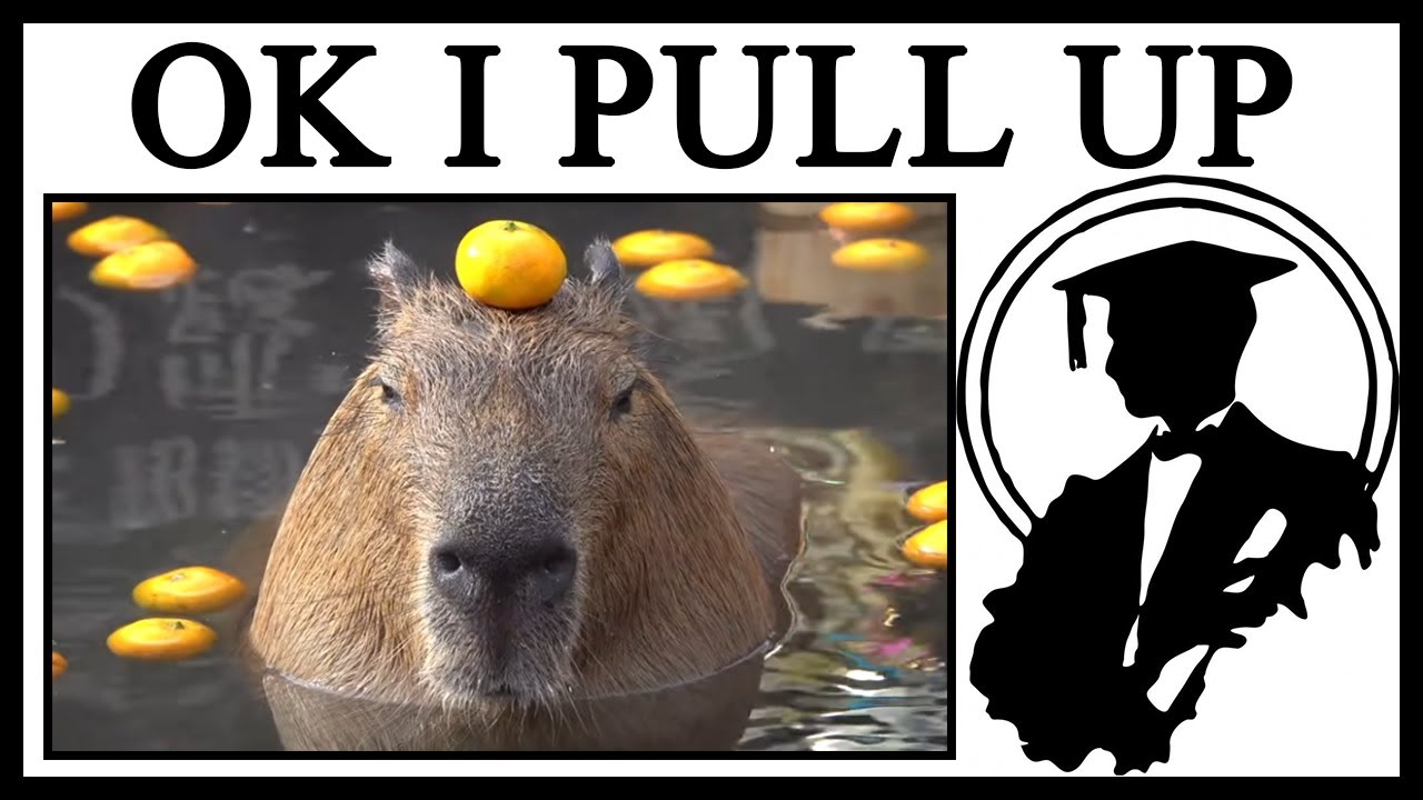 Why do Capybaras Pull Up? Why do Capybaras Pull Up?