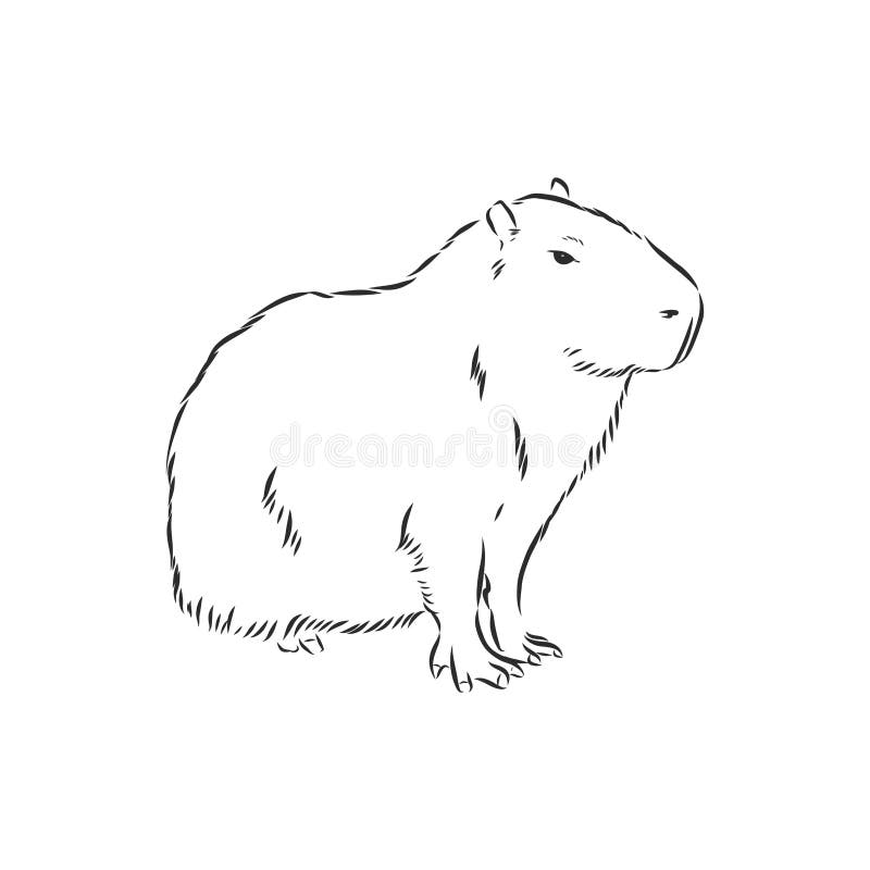Cute Capybara Clipart in Black and White Cute Capybara Clipart in Black and White