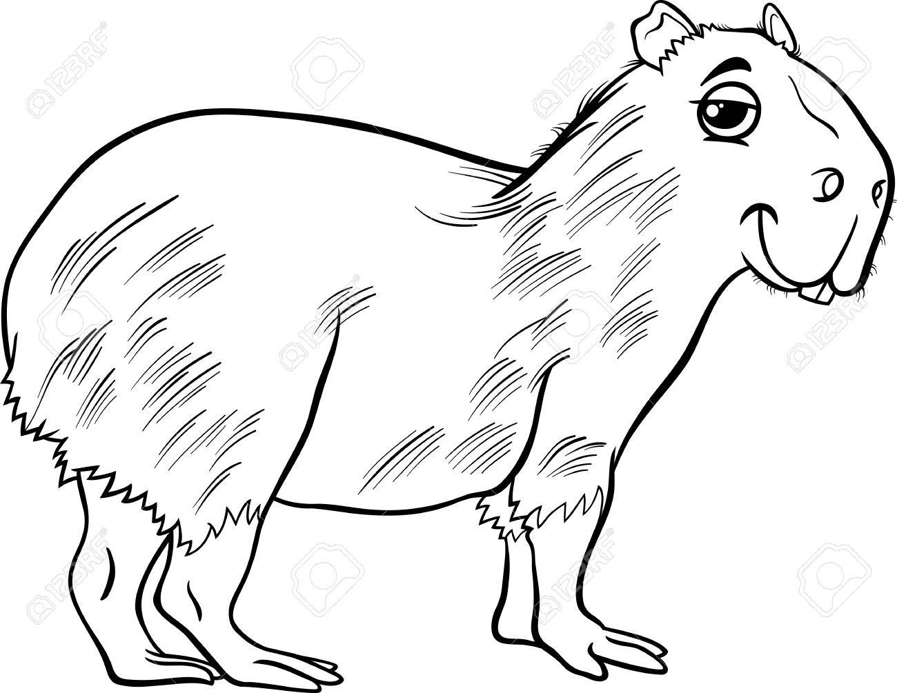Cute Capybara Clipart in Black and White Cute Capybara Clipart in Black and White
