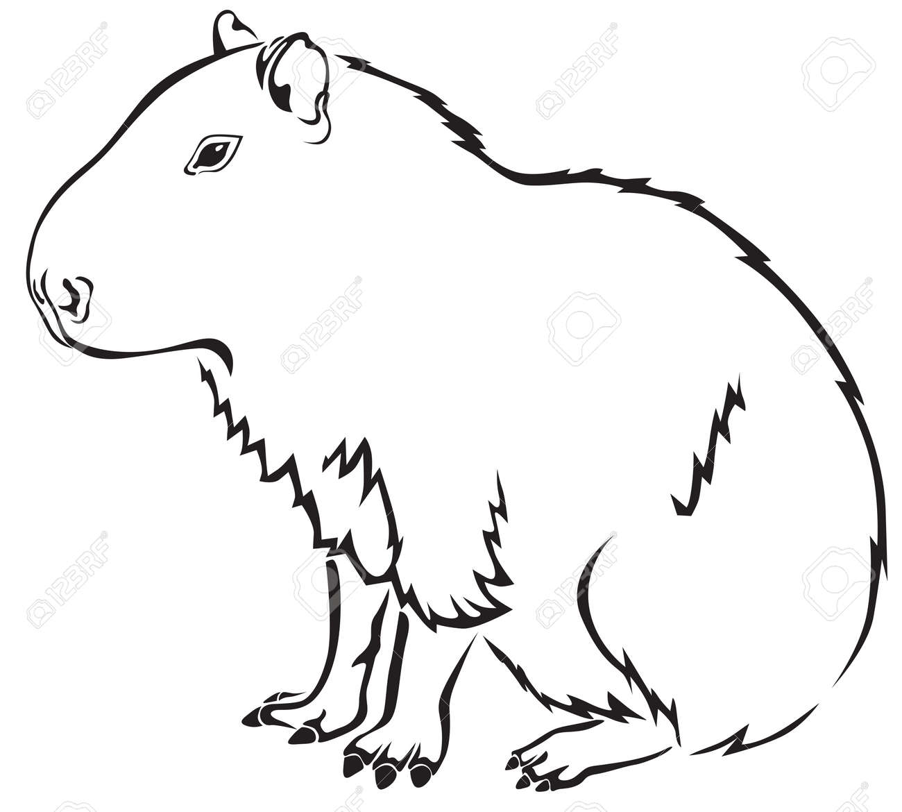 Cute Capybara Clipart in Black and White Cute Capybara Clipart in Black and White