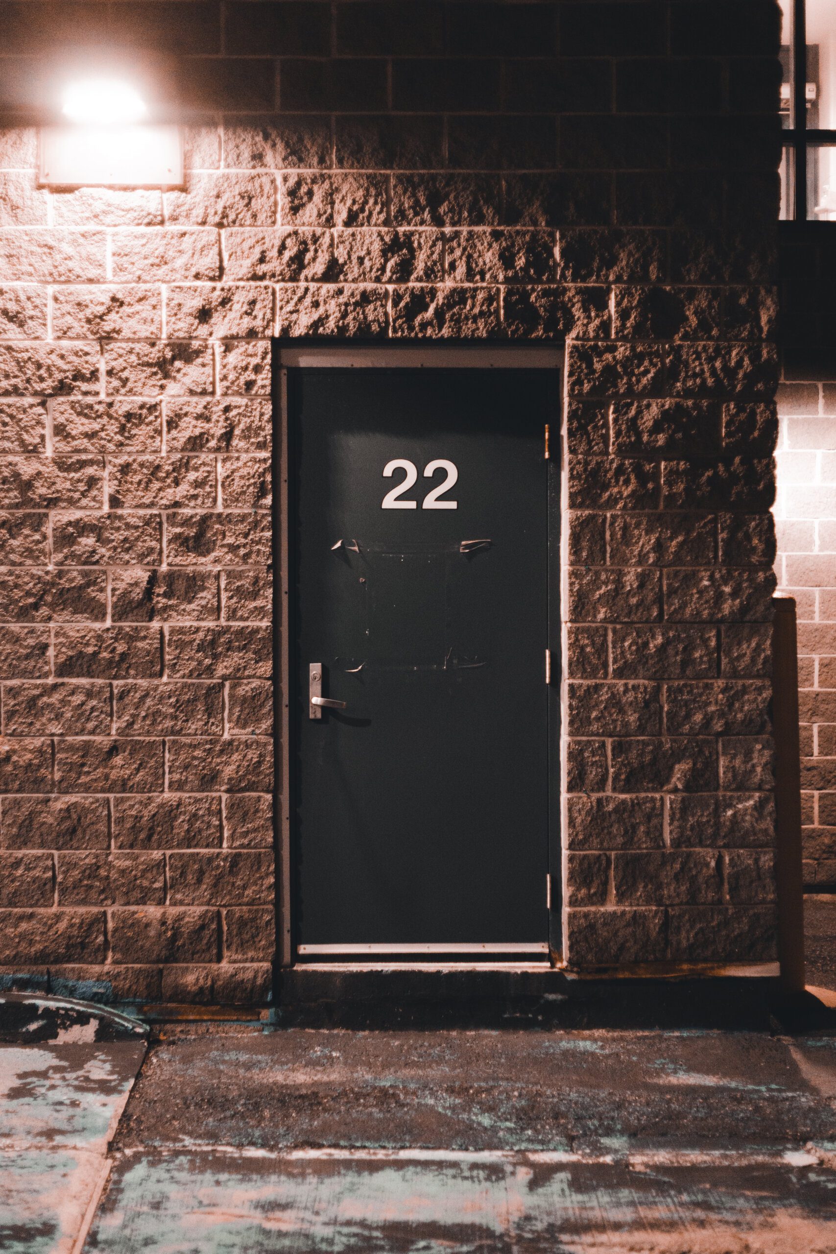 the ultimate guide on owning a capybara 3 scaled