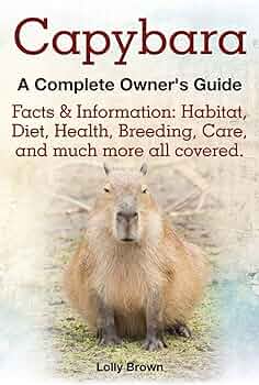 a guide to buying a capybara 4