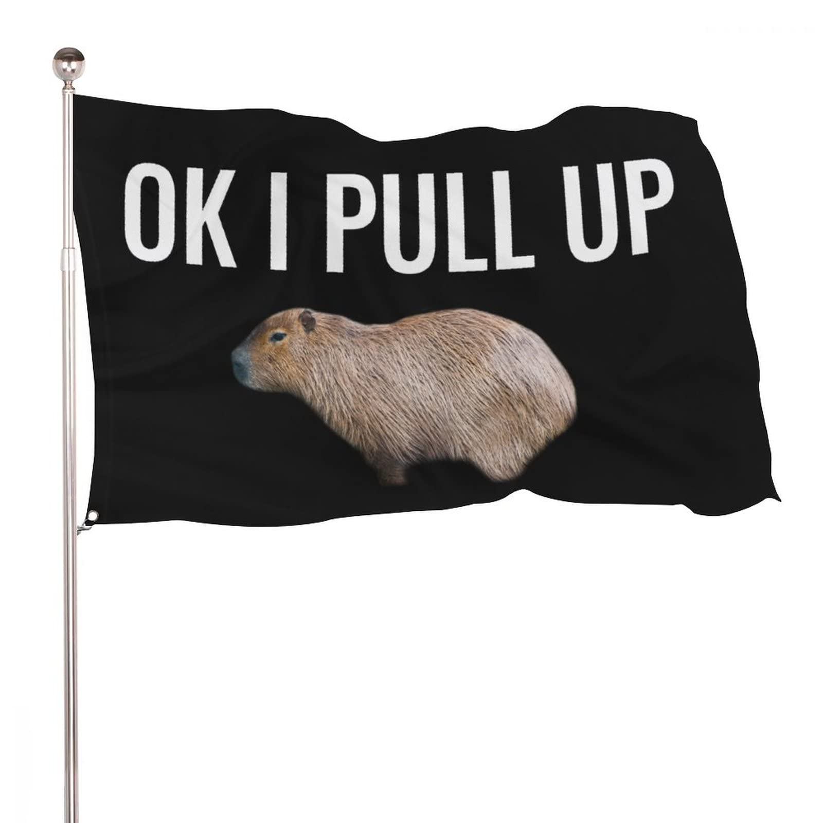 I Pull Up My Capybara 2 i pull up my capybara 4