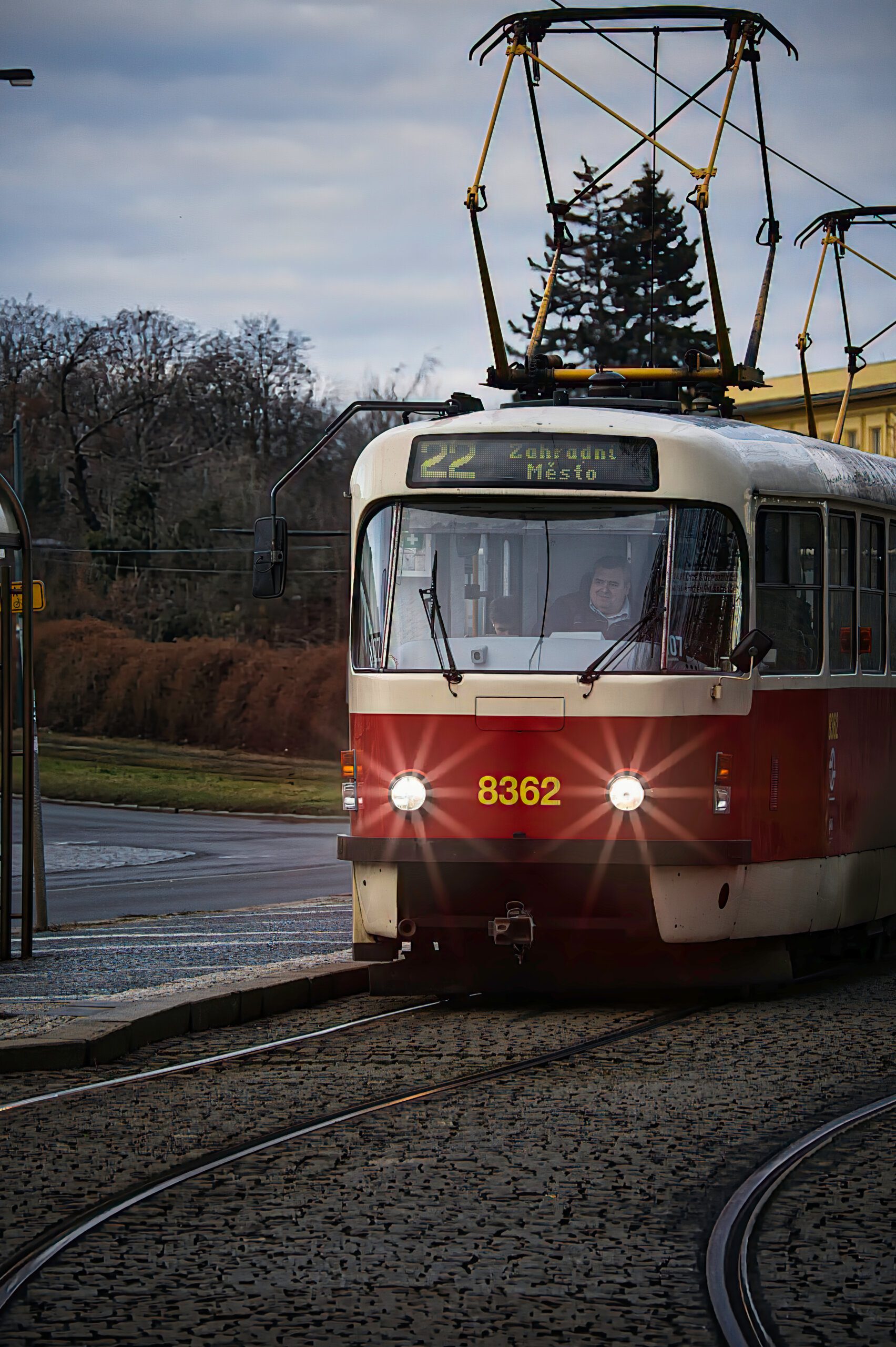 Explore the Capybara Encounter in West Midlands 2 explore the capybara encounter in west midlands 3 scaled