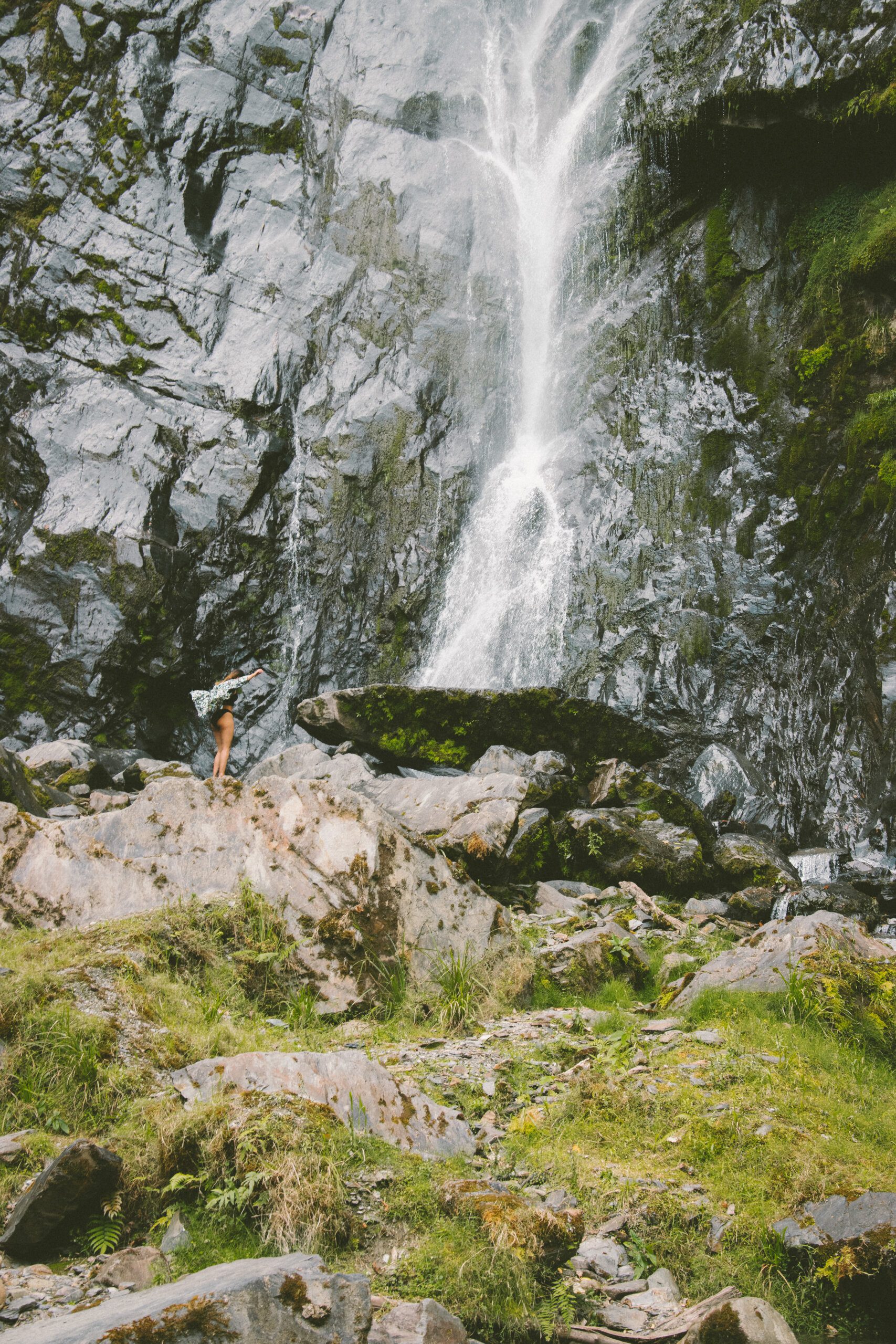 The Capybara's Splash: Diving Into the Water 2 the capybaras splash diving into the water 3 scaled
