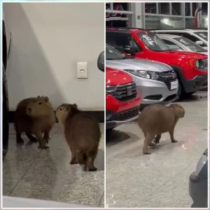 screen-shot-2023-06-26-at-2-10-44-pm screen shot 2023 06 26 at 2 10 44 pm