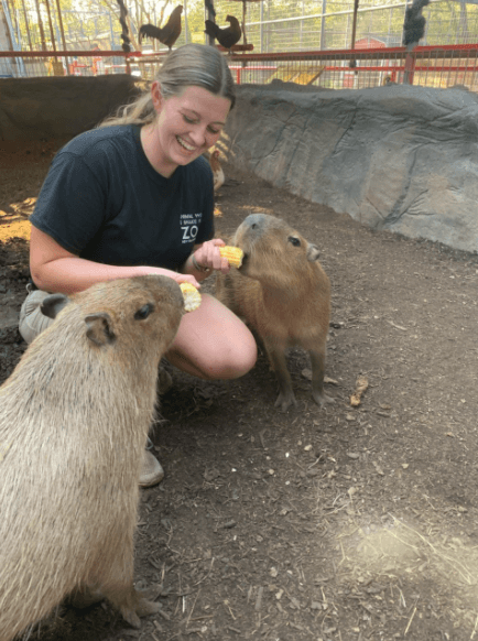 Discover Texas' Top 4 Capybara Encounters: Meet Nature's Friendliest Giants Up Close! 5 animal world and snake farm new braunfels